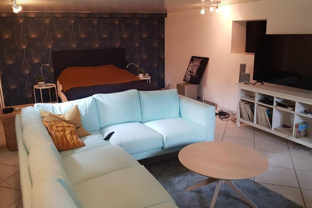 De 50m2, Climatise Avec Terrasse Et Parking Castelnau-le-Lez